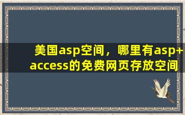 美国asp空间，哪里有asp+access的免费网页存放空间